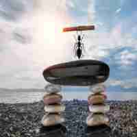 cdn节​点​建﻿设​